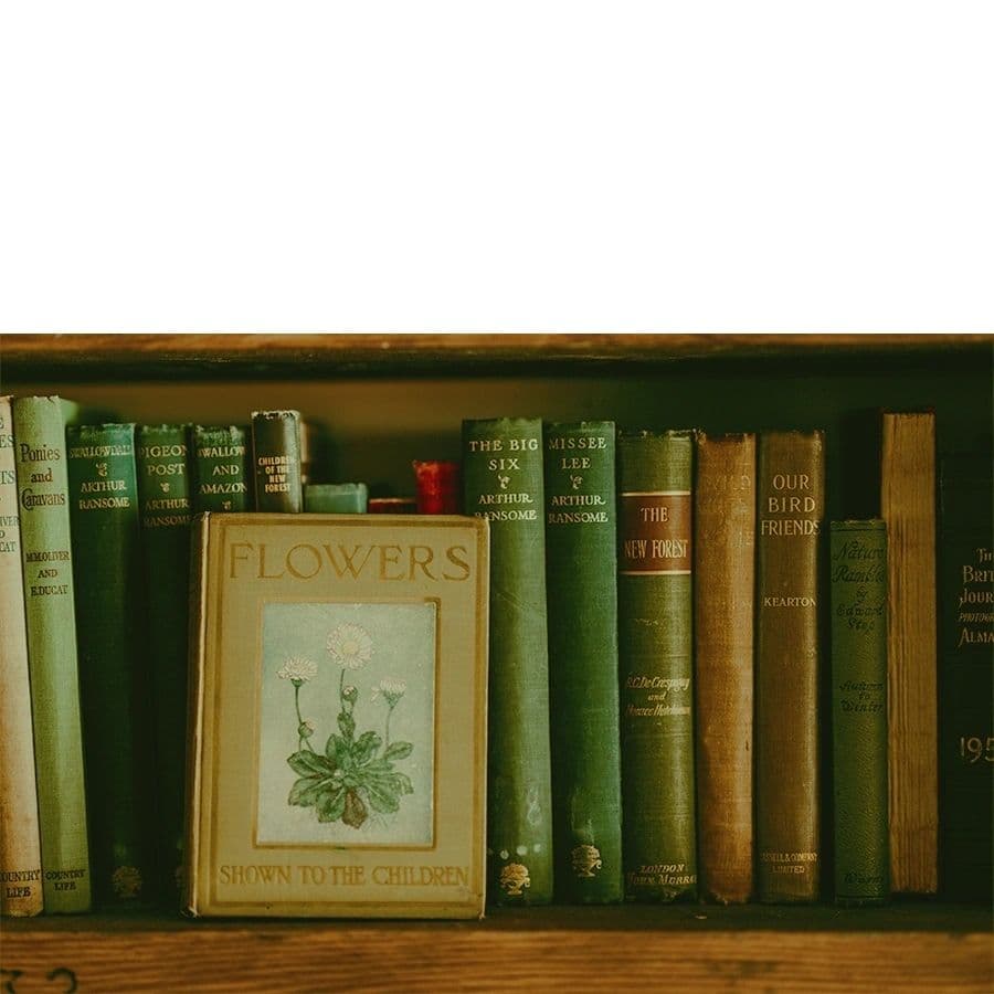 Love Anderson image 4