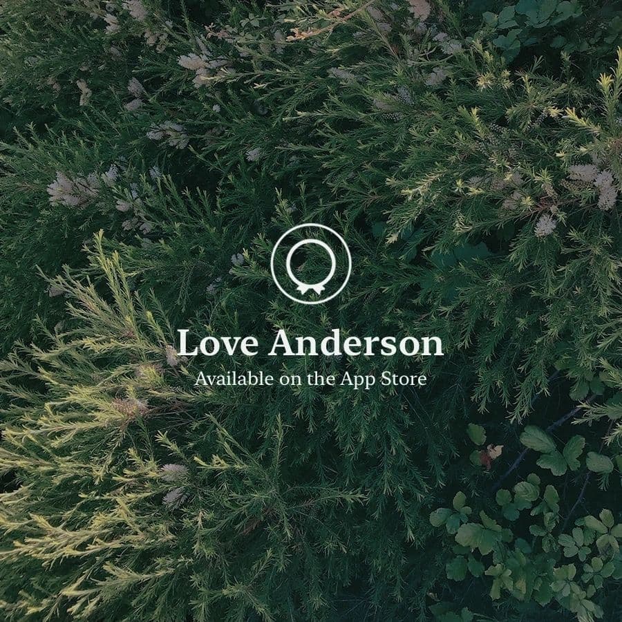 Love Anderson image 8