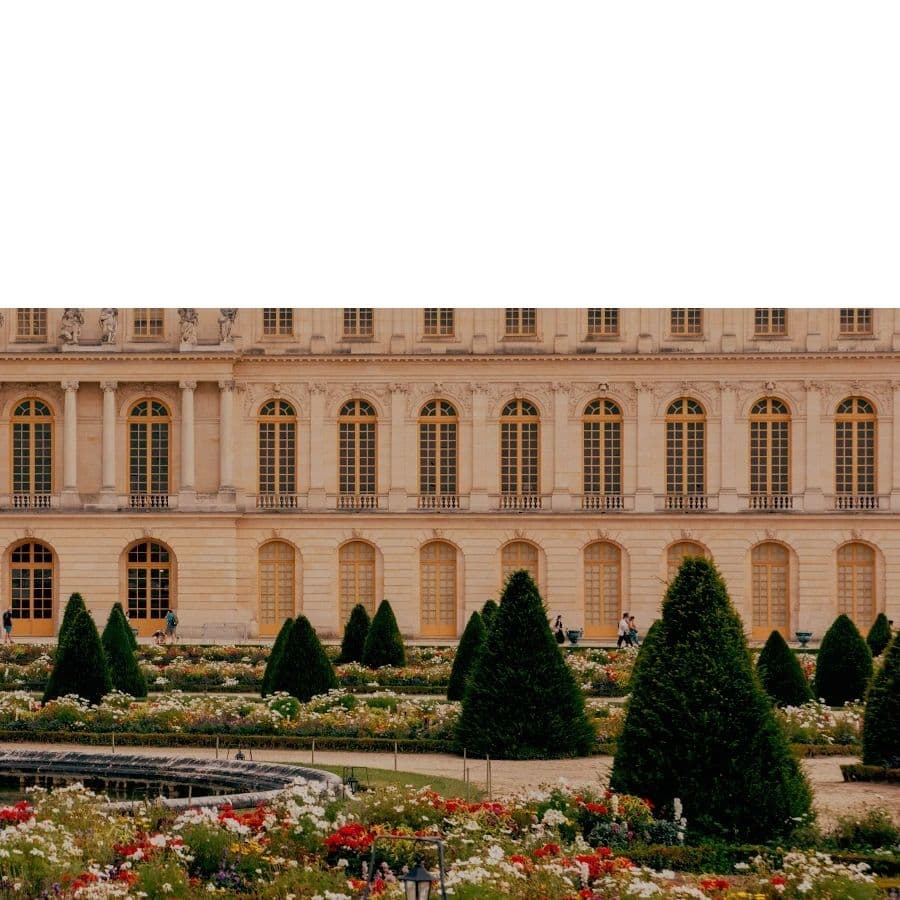 Love Sofia image 4