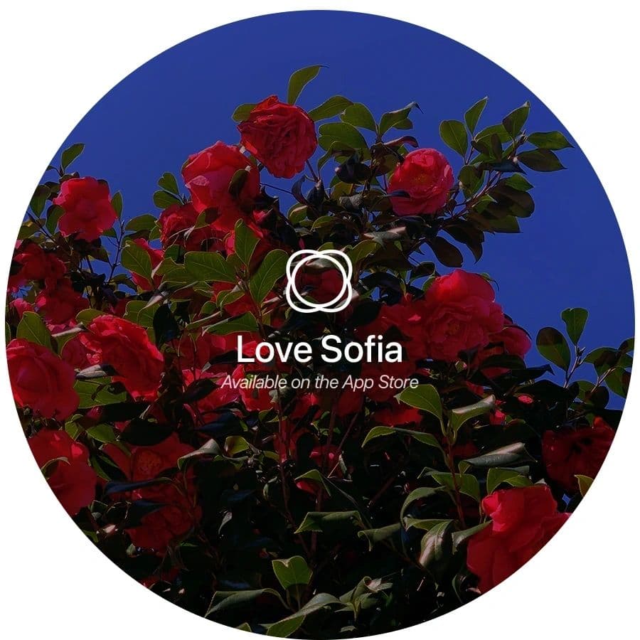 Love Sofia image 8